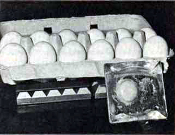 MUmmified egg and dozen eggs sitting on pyramid energizer from Les Brown